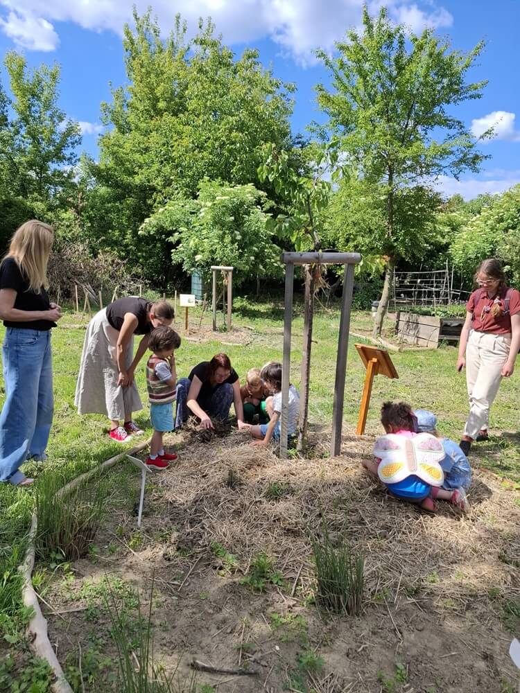 3683cb56-65a7-4f6c-a727-3cbbd4752eba