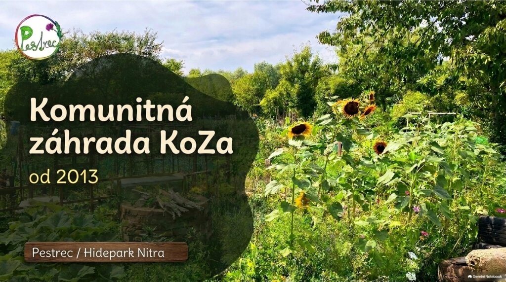 KoZa_SPOLU_2026.pdf-1